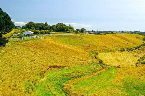 Photo of property in 167 Henwood Road, Paraite, New Plymouth, 4372