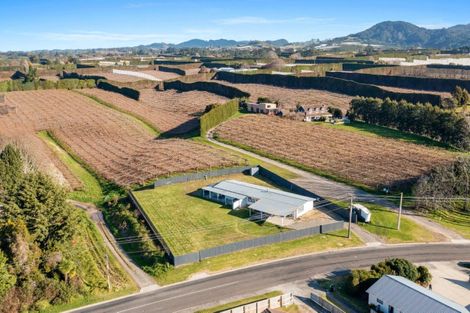 Photo of property in 42 Macloughlin Drive, Te Puke, 3119