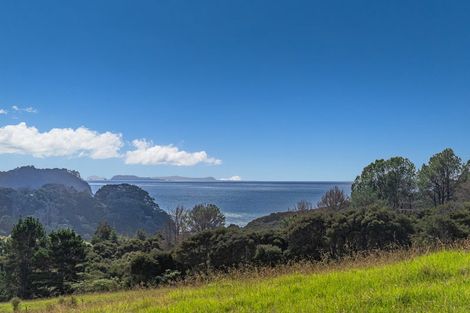 Photo of property in 425n Boat Harbour Road, Whenuakite, Whitianga, 3591