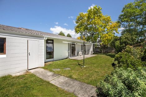 Photo of property in 1/63 Harris Street, Kaiti, Gisborne, 4010