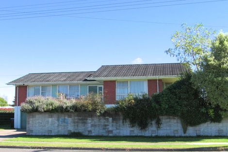 Photo of property in 29 Grey Street, Putaruru, 3411