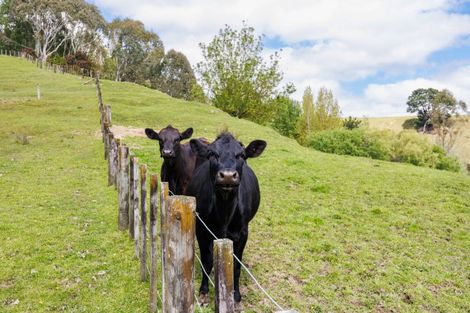 Photo of property in 39 County Heights Drive, Aokautere, Palmerston North, 4471