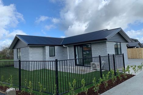 Photo of property in 2/23 Ross Crescent, Fairfield, Hamilton, 3214