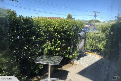 Photo of property in 1 Chiefs Court, Hamilton East, Hamilton, 3216