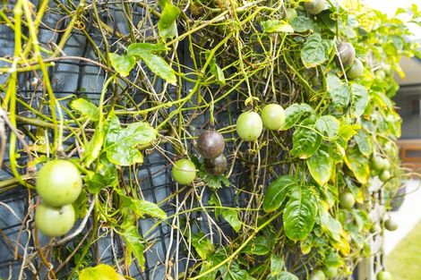 Photo of property in 61 Percy Kinsman Crescent, Riverstone Terraces, Upper Hutt, 5018