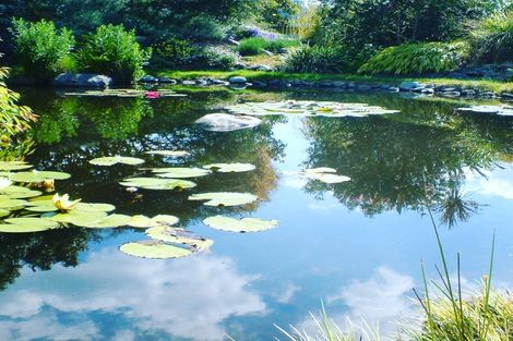 Photo of property in 125 Matangi Road, Matangi, Hamilton, 3284