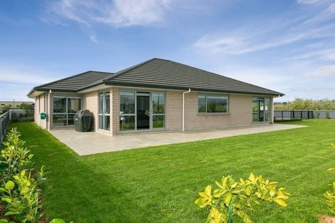 Photo of property in 126 Pohutukawa Place, Waiwhakaiho, New Plymouth, 4312