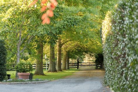 Photo of property in 17 Puketaha Road, Puketaha, Hamilton, 3281