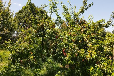 Photo of property in 271 Mystery Creek Road, Ohaupo, 3881