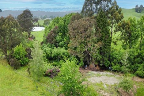 Photo of property in 161 Kawautahi Road, Owhango, 3989