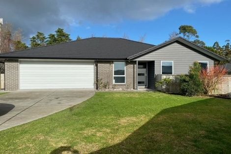 Photo of property in 20 Charlotte Drive, Omokoroa, 3114
