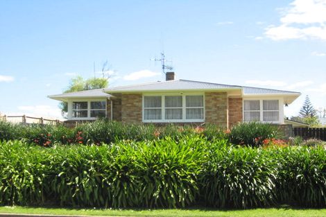 Photo of property in 25 Wight Street, Huntly, 3700