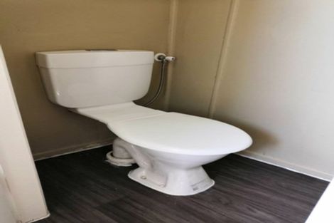 Photo of property in 14 Carrington Avenue, Hillcrest, Hamilton, 3216