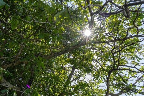 Photo of property in 3 Matai Grove, Greytown, 5712