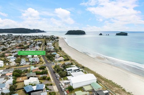 Photo of property in 117 Pohutukawa Crescent, Whangamata, 3620