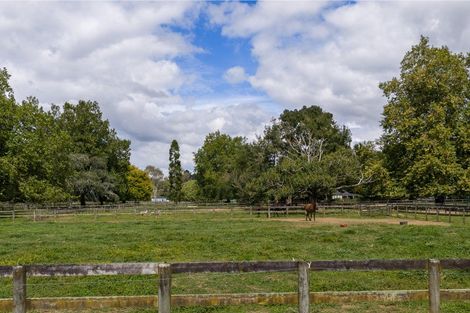 Photo of property in 59 Fuchsia Lane, Tamahere, Hamilton, 3284