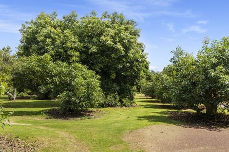 Photo of property in 311 Pahoia Road, Whakamarama, Tauranga, 3172