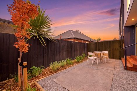 Photo of property in 76 Milton Street, Somerfield, Christchurch, 8024