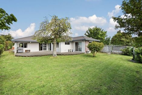 Photo of property in 34 Macmurdo Avenue, Glenview, Hamilton, 3206