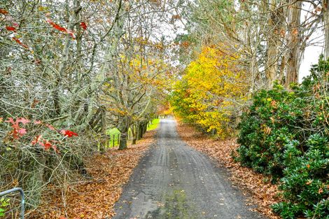 Photo of property in 48a Sinclair Road, Ararimu, Drury, 2579