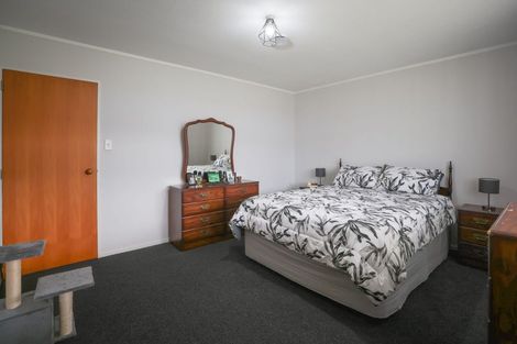 Photo of property in 100 Melcombe Street, Tinwald, Ashburton, 7700