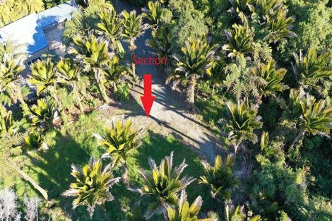 Photo of property in 4161 Coast Road, Punakaiki, 7873