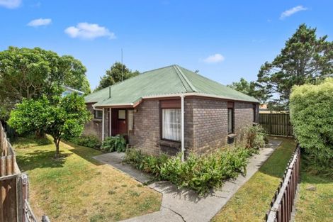 Photo of property in 42b Rimu Street, Maeroa, Hamilton, 3200