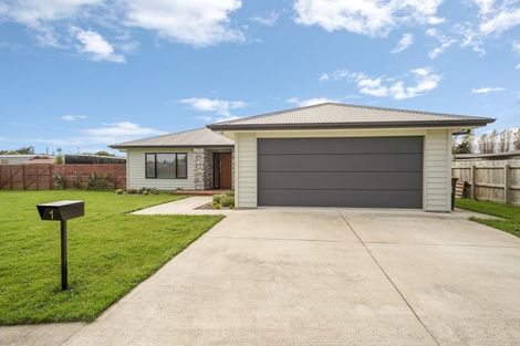 Photo of property in 1 Dow Chung Place, Otaki, 5512