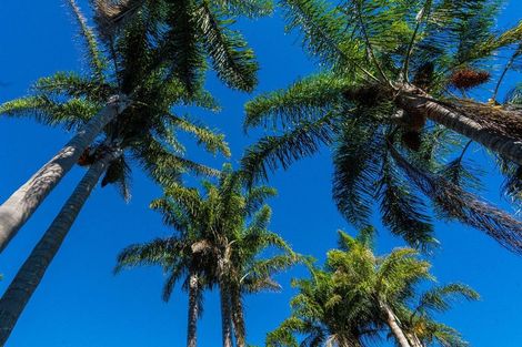 Photo of property in 47 Bruntwood Drive, Whakamarama, Tauranga, 3172