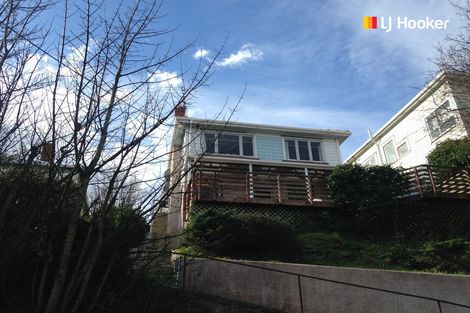 Photo of property in 13 Aitken Place, Mornington, Dunedin, 9011