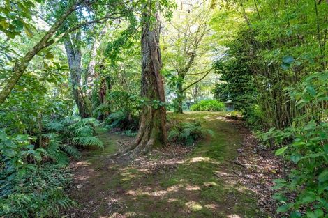 Photo of property in 58 Celia Street, Stratford, 4332