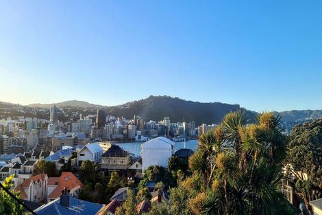 Photo of property in 7 Mcintyre Avenue, Mount Victoria, Wellington, 6011