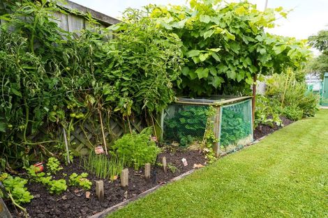 Photo of property in 10 Alexander Street, Abbotsford, Dunedin, 9018