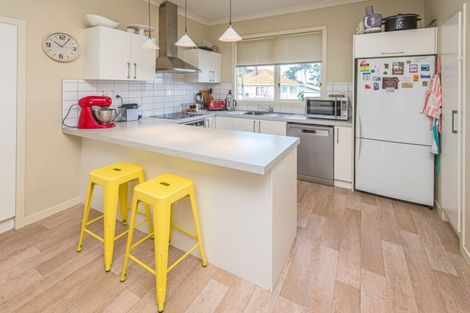 Photo of property in 51 Maxwell Avenue, Durie Hill, Whanganui, 4500