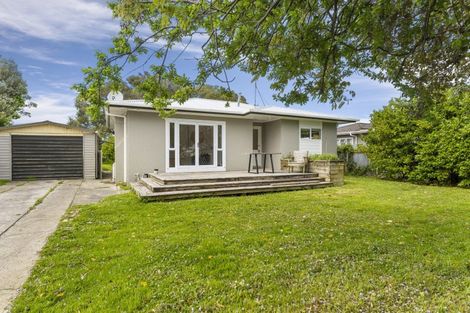 Photo of property in 117 Rugby Street, Awapuni, Palmerston North, 4412