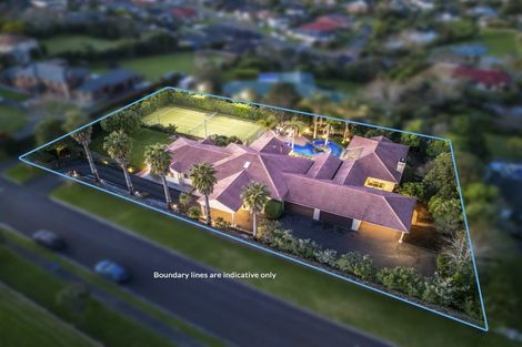 Photo of property in 9 Burgundy Park Avenue, Henderson, Auckland, 0612