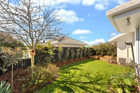 Photo of property in 1/135 Edinburgh Street, Spreydon, Christchurch, 8024
