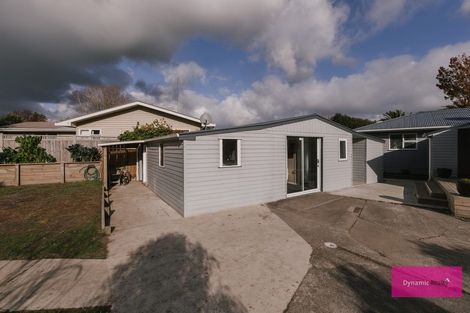 Photo of property in 30 Winchester Street, Awapuni, Palmerston North, 4412