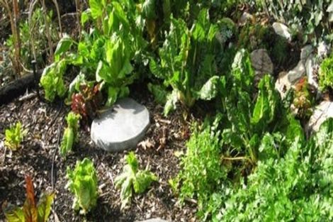 Photo of property in 49 Brougham Street, Nelson South, Nelson, 7010