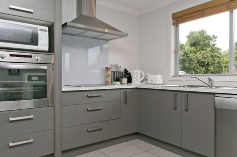 Photo of property in 187 Tamamutu Street, Taupo, 3330