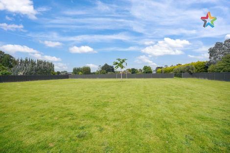 Photo of property in 29 Grove Bush-woodlands Road, Woodlands, Invercargill, 9871