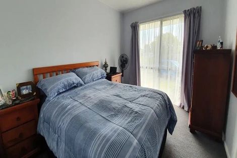 Photo of property in 22 Douglas Street, Levin, 5510