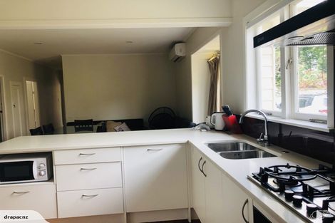 Photo of property in 14 Dignan Street, Point Chevalier, Auckland, 1022