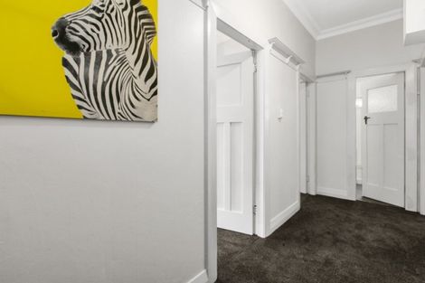 Photo of property in 52 College Street, Caversham, Dunedin, 9012