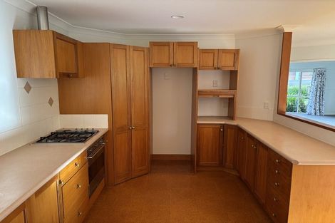 Photo of property in 11 Stella Place, Chartwell, Hamilton, 3210