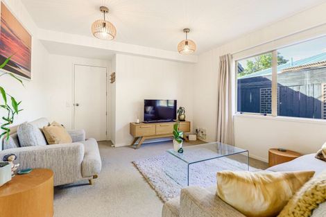 Photo of property in 17b Primrose Street, Frankton, Hamilton, 3204