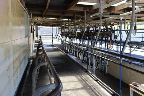 Photo of property in 1234 Richmond Road, Everett Park, Inglewood, 4389