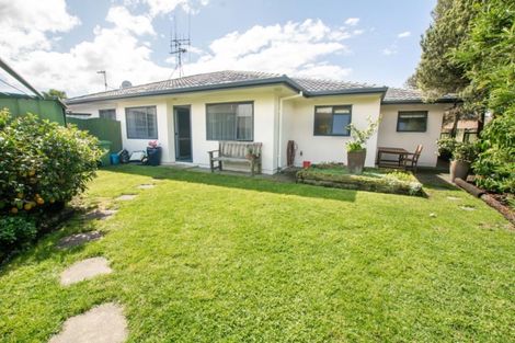 Photo of property in 63 Solomon Street, Brookfield, Tauranga, 3110
