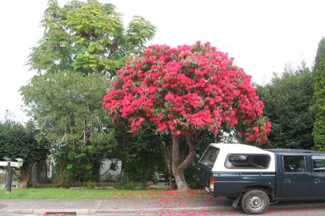 Photo of property in 36 Robins Road, Judea, Tauranga, 3110