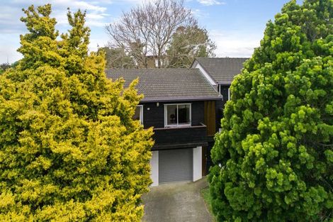 Photo of property in 165 Glamorgan Drive, Torbay, Auckland, 0630